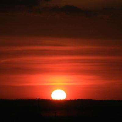 2008 Kuidas Elad Laemmijaerv 709 20170321 1259989874