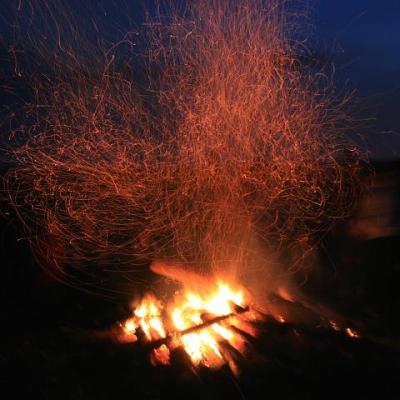 2008 Kuidas Elad Laemmijaerv 721 20170321 1886344464