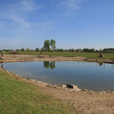 2008 Kuidas Elad Laemmijaerv 732 20170321 1592223967