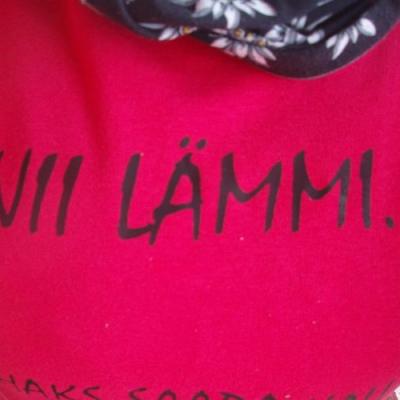 2008 Kuidas Elad Laemmijaerv 767 20170321 1889619272