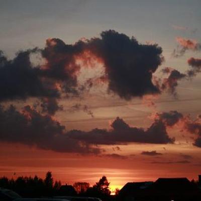 2008 Kuidas Elad Laemmijaerv 797 20170321 1850979296