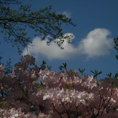 2008 Kuidas Elad Laemmijaerv 818 20170321 1969773162