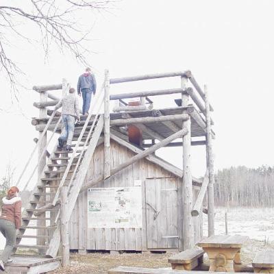 2008 Kuidas Elad Laemmijaerv 838 20170321 1351437688