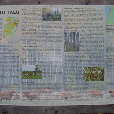 2008 Kuidas Elad Laemmijaerv 840 20170321 1804743547