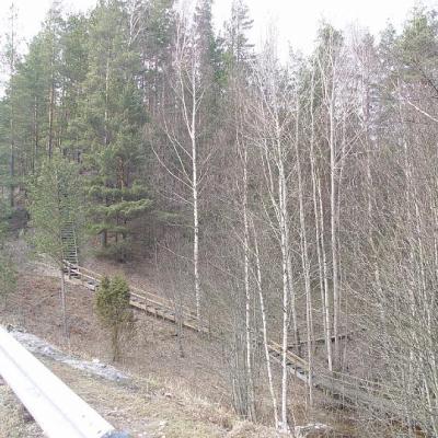 2008 Kuidas Elad Laemmijaerv 852 20170321 1923602039