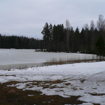 2008 Kuidas Elad Laemmijaerv 861 20170321 1547106846