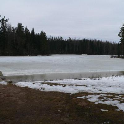 2008 Kuidas Elad Laemmijaerv 862 20170321 1678695511