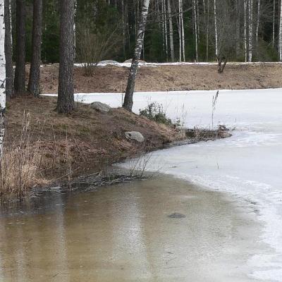 2008 Kuidas Elad Laemmijaerv 863 20170321 1781346662