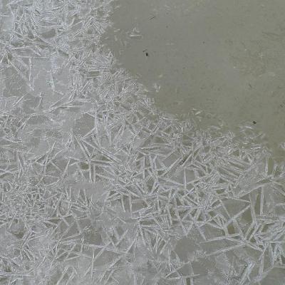 2008 Kuidas Elad Laemmijaerv 865 20170321 2043112724