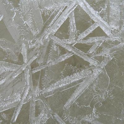 2008 Kuidas Elad Laemmijaerv 867 20170321 1866453858