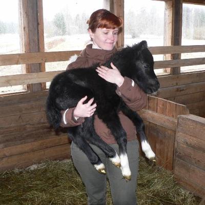 2008 Kuidas Elad Laemmijaerv 880 20170321 1112215465