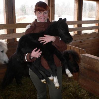 2008 Kuidas Elad Laemmijaerv 881 20170321 2077486812