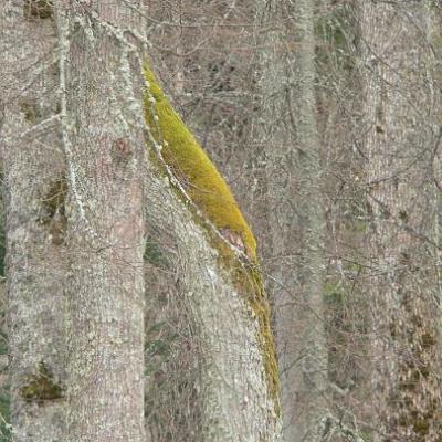 2008 Kuidas Elad Laemmijaerv 906 20170321 2090001038