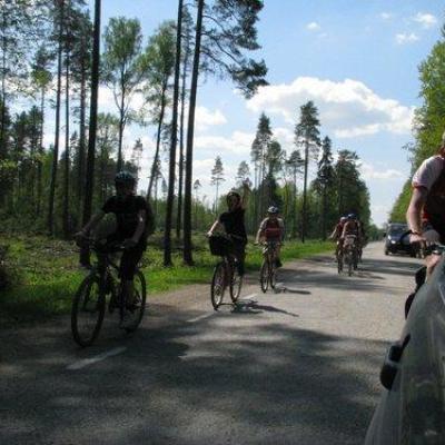 2008 Kuidas Elad Laemmijaerv 91 20170321 1048527877