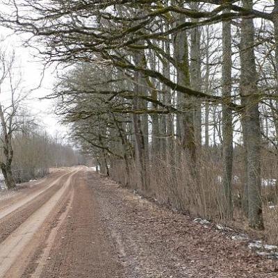 2008 Kuidas Elad Laemmijaerv 917 20170321 1133506853