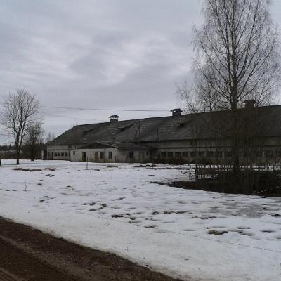 2008 Kuidas Elad Laemmijaerv 919 20170321 1830589799