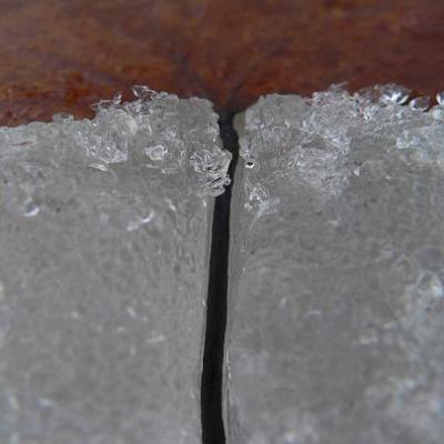 2008 Kuidas Elad Laemmijaerv 947 20170321 1654789972