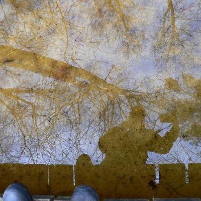 2008 Kuidas Elad Laemmijaerv 965 20170321 1721008046