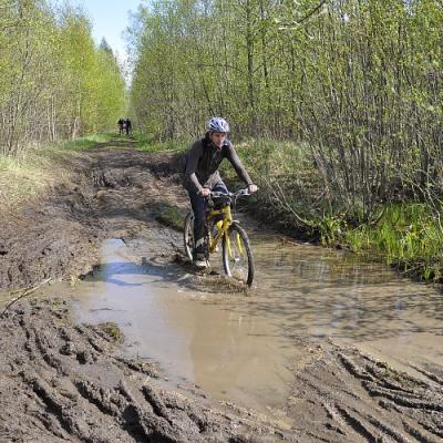 2009 Kuidas Elad Luitemaa 109 20170321 1282926103