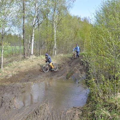 2009 Kuidas Elad Luitemaa 111 20170321 1911312670