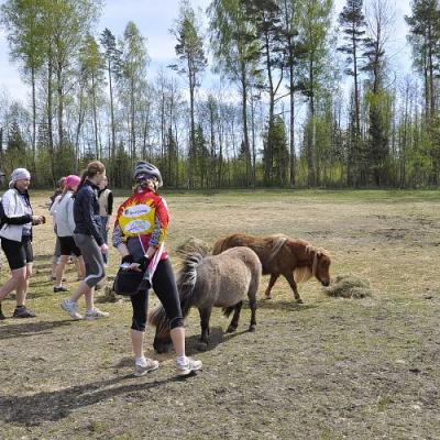 2009 Kuidas Elad Luitemaa 186 20170321 1607718168