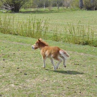 2009 Kuidas Elad Luitemaa 188 20170321 2032627003