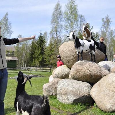 2009 Kuidas Elad Luitemaa 198 20170321 2070004768