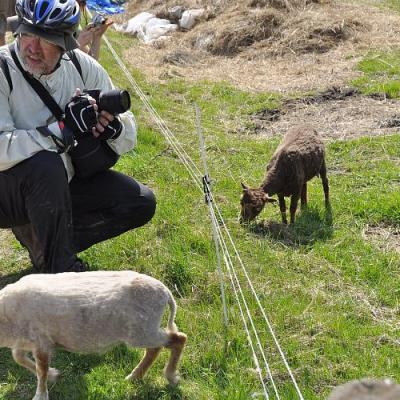 2009 Kuidas Elad Luitemaa 206 20170321 1420358716