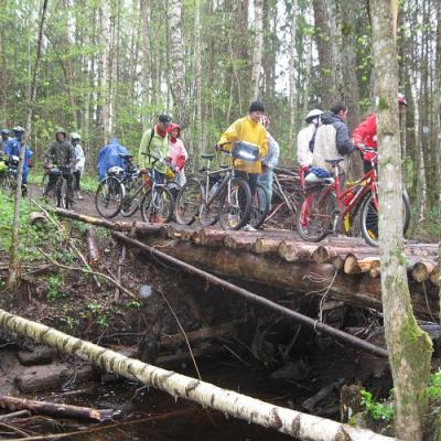 2009 Kuidas Elad Luitemaa 241 20170321 1647264958