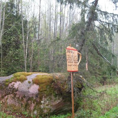 2009 Kuidas Elad Luitemaa 246 20170321 1279770180