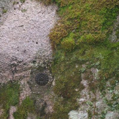 2009 Kuidas Elad Luitemaa 247 20170321 1286156747