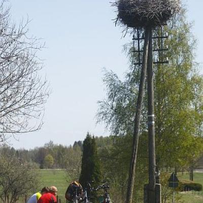 2009 Kuidas Elad Luitemaa 339 20170321 1645660870