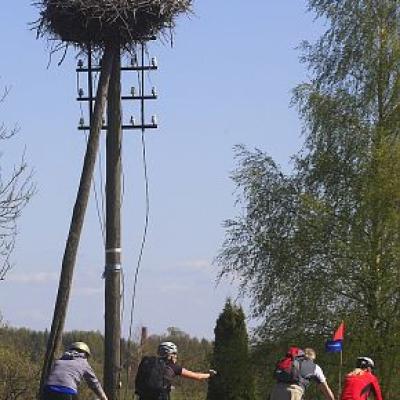 2009 Kuidas Elad Luitemaa 341 20170321 1851027171