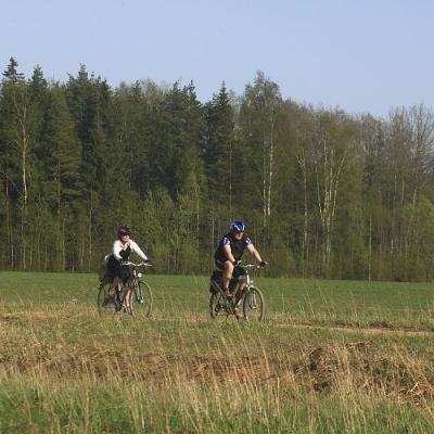 2009 Kuidas Elad Luitemaa 379 20170321 1035912009