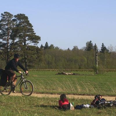 2009 Kuidas Elad Luitemaa 381 20170321 1345861631