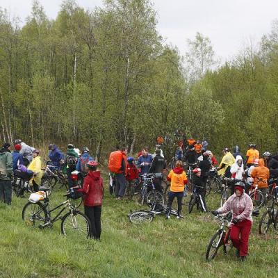 2009 Kuidas Elad Luitemaa 465 20170321 1366145453