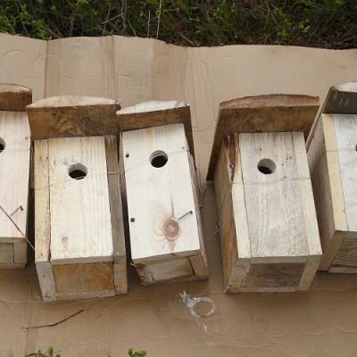 2009 Kuidas Elad Luitemaa 506 20170321 1069864501