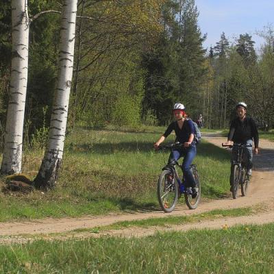 2009 Kuidas Elad Luitemaa 564 20170321 1515283996