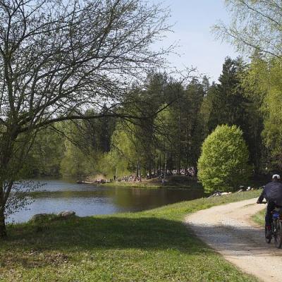 2009 Kuidas Elad Luitemaa 592 20170321 1911637620