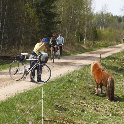 2009 Kuidas Elad Luitemaa 599 20170321 2055752875