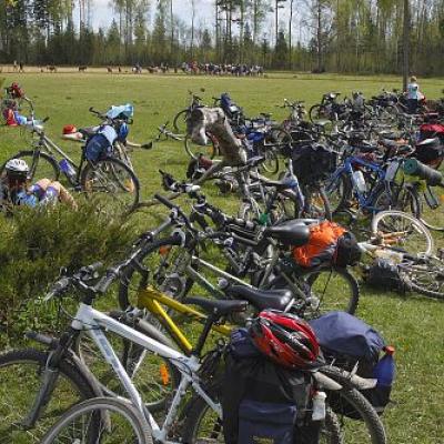 2009 Kuidas Elad Luitemaa 600 20170321 1271856145