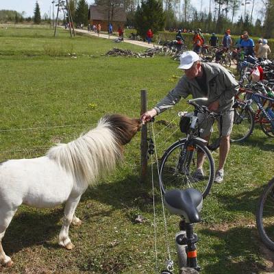 2009 Kuidas Elad Luitemaa 604 20170321 1966818079