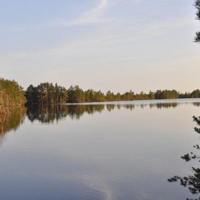 2009 Kuidas Elad Luitemaa 71 20170321 1855561973