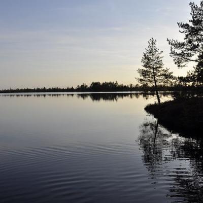 2009 Kuidas Elad Luitemaa 73 20170321 1605302048