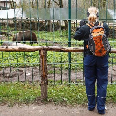 2010 Roheliste Rattaretk Kuidas Elad Vooremaa 70 20170321 1361694681