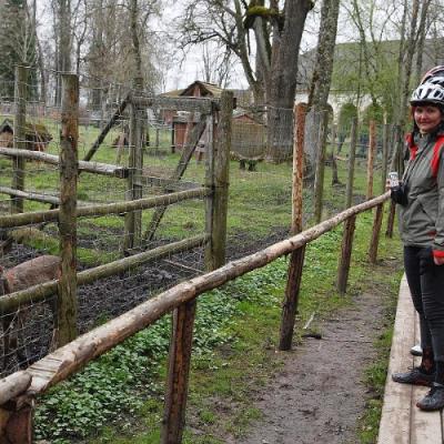 2010 Roheliste Rattaretk Kuidas Elad Vooremaa 75 20170321 1187624467