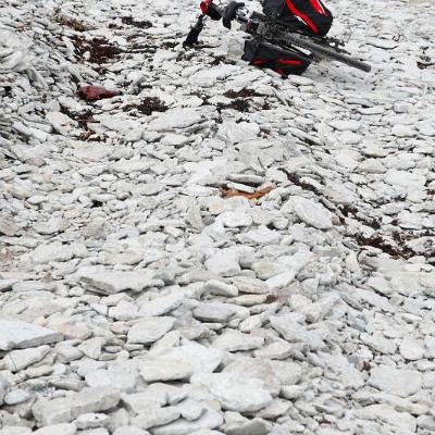 2011 Roheliste Rattaretk Kuidas Elad Saaremaa 102 20170321 1182278692