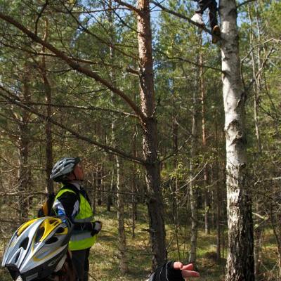 2011 Roheliste Rattaretk Kuidas Elad Saaremaa 107 20170321 1634306258