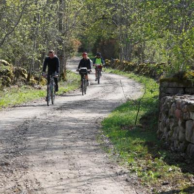 2011 Roheliste Rattaretk Kuidas Elad Saaremaa 124 20170321 2016946105