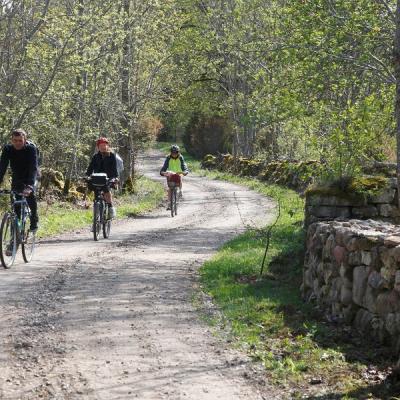 2011 Roheliste Rattaretk Kuidas Elad Saaremaa 125 20170321 1414873188